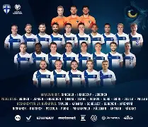 冰岛队在欧预赛中战胜对手,受到赞誉了吗