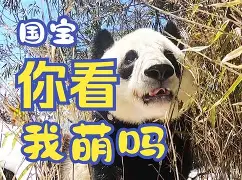 九游官方网站-法甲知乎