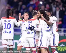 甘冈对克莱蒙预测