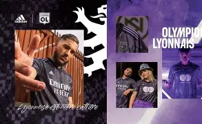 甘冈对克莱蒙预测