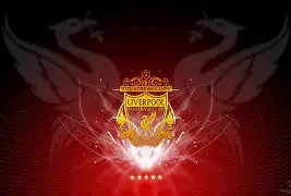 九游官方网站-利物浦纪念足球